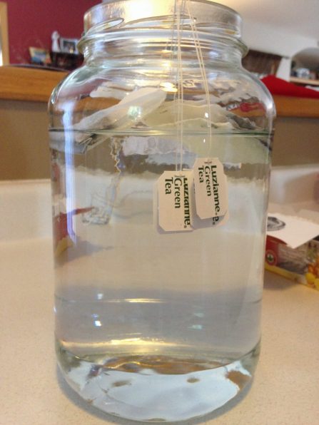 ready-to-brew-sun-tea