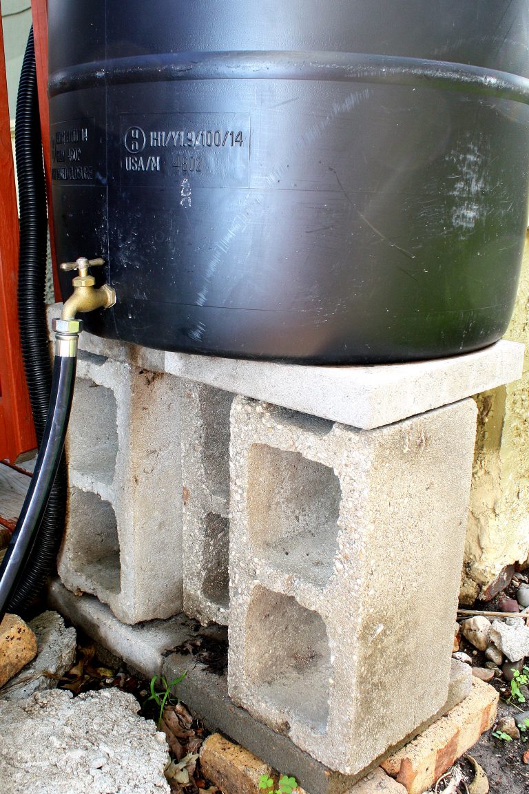 Why You Should Add a Rain Barrel to Your Yard
