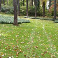Preparing Your Yard for Winter: Do’s and Don’ts