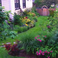A Guide to Choosing and Caring for Flowering Shrubs