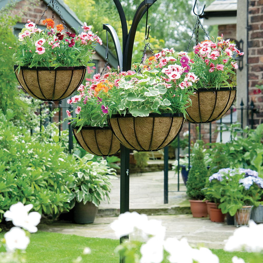 hanging flower baskets: the only guide you'll need