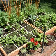 Vegetable Garden Designs: Square Foot Garden Planner