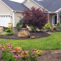 Low Maintenance Landscaping Ideas