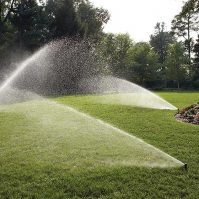 Your Guide to Watering the Lawn