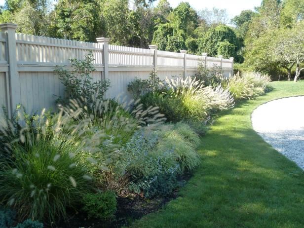 tall grasses for landscaping