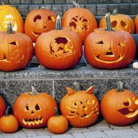 Tips for Keeping Your Fall Pumpkins from Rotting