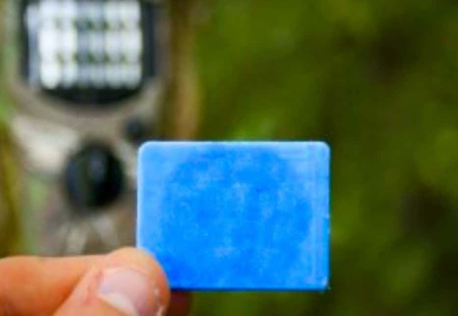 Everything You Need To Need Know About Thermacell Mosquito Repellent